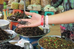 Cambodia2014-web-029