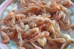 Cambodia2014-web-072