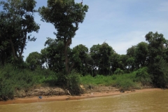 Cambodia2014-web-077