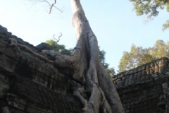Cambodia2014-web-090