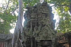 Cambodia2014-web-095