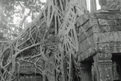 Cambodia2014-web-096