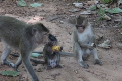 Cambodia2014-web-112