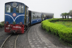 D10-230