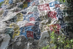 D10-489