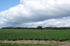 Quebec2013-for web-080