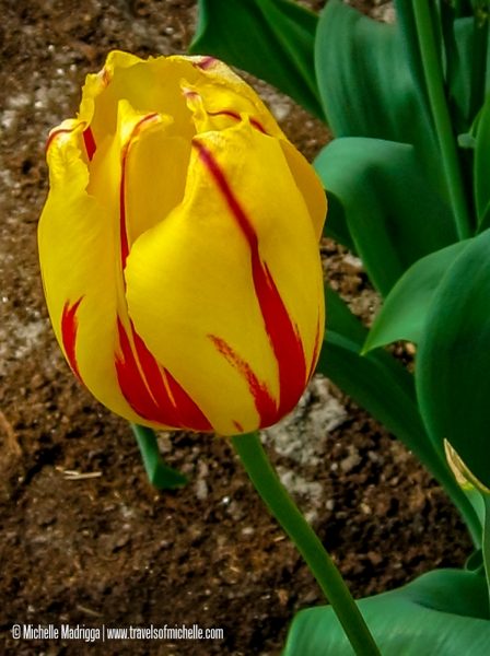 IMG_0049.jpg