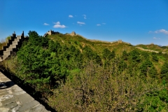 IMG_6598