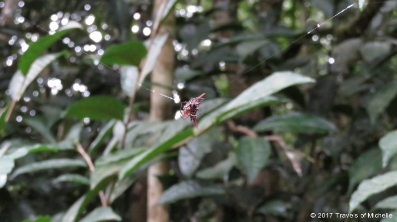 IMG_3062