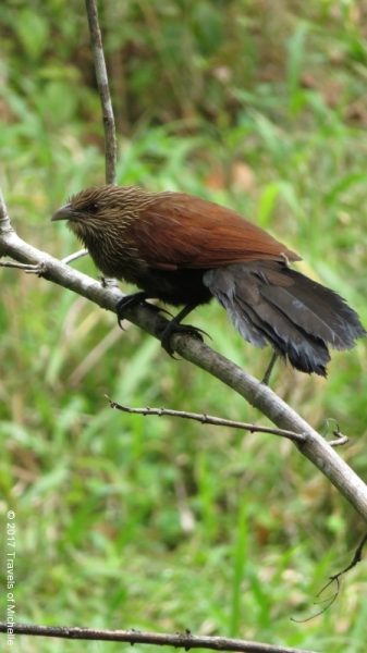 IMG_3223