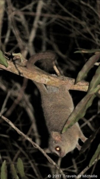 IMG_3489_edited-1