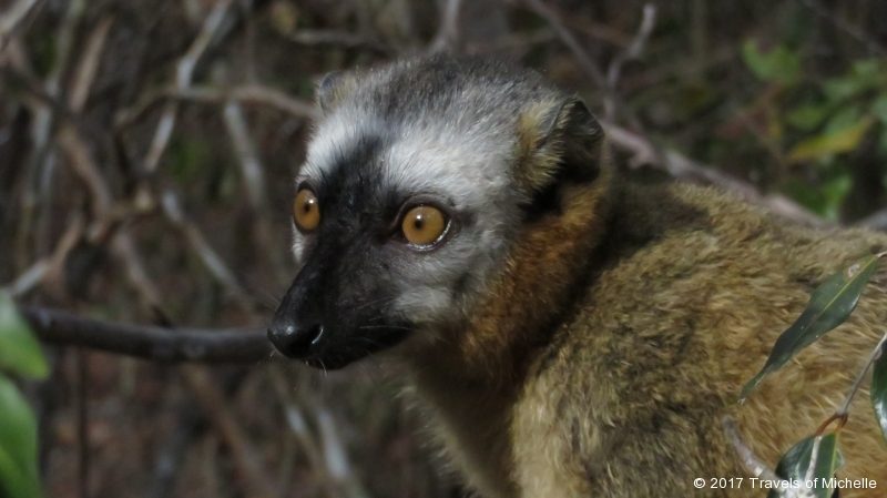 IMG_3570