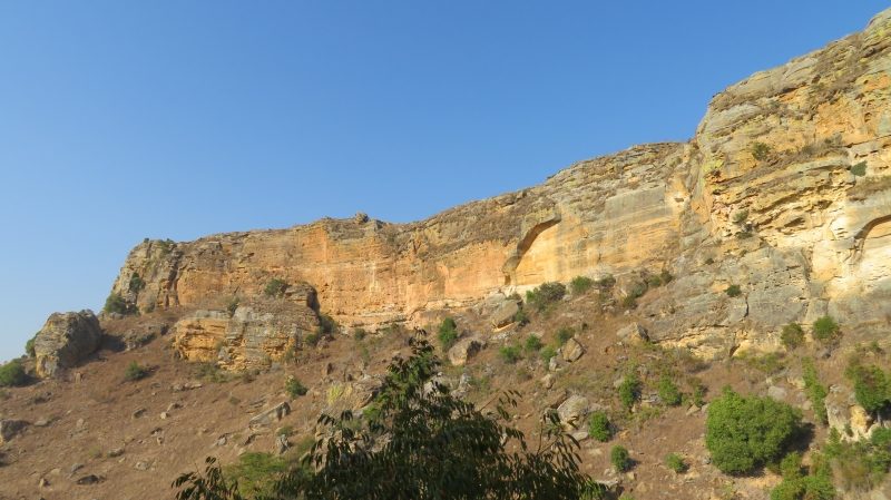 IMG_4367