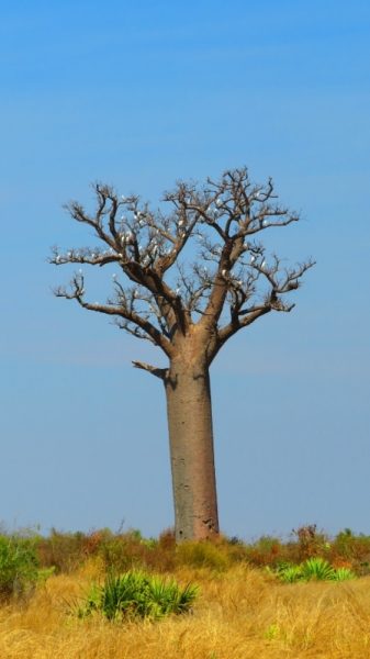 IMG_4670