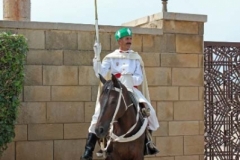 Morocco 2010-web-010