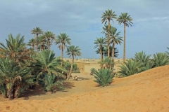 Morocco 2010-web-071