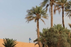 Morocco 2010-web-072