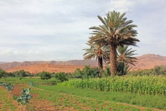 Morocco 2010-web-086