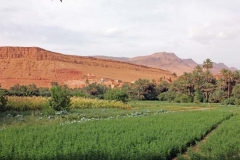Morocco 2010-web-087