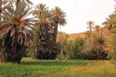 Morocco 2010-web-088
