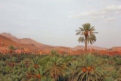 Morocco 2010-web-089