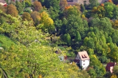 IMG_0150_edited-1