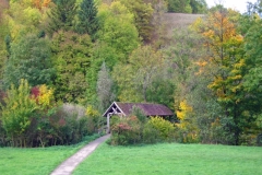 IMG_0252_edited-1