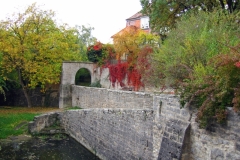 IMG_0308_edited-1