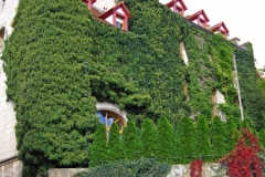 IMG_0323_edited-1