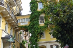IMG_0341_edited-1