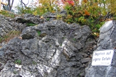 IMG_0429_edited-1