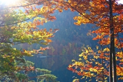 IMG_0469_edited-1