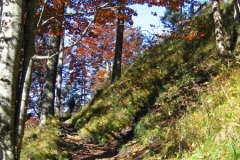 IMG_0484_edited-1