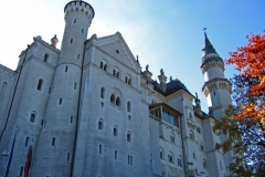 IMG_0492_edited-1
