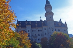 IMG_0498_edited-1