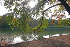 IMG_0568_edited-1