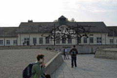 IMG_0579_edited-1