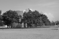 IMG_0585