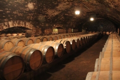Argentina-website-025
