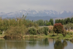 Argentina-website-081