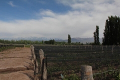 Argentina-website-086