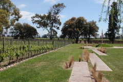 Argentina-website-096