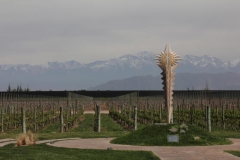 Argentina-website-102