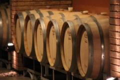 Argentina-website-115