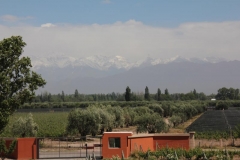 Argentina-website-140
