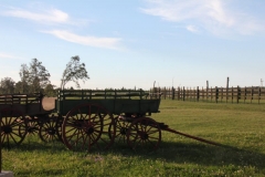 Argentina-website-219
