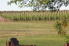 Argentina-website-227