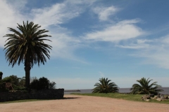 Argentina-website-265
