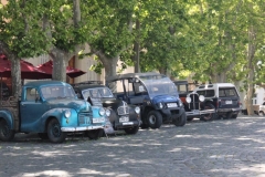 Argentina-website-270