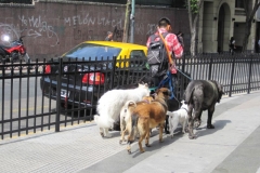 Argentina-website-320